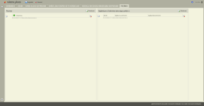 Individuālā grafika un stundu pārskats.