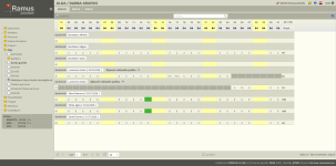 Kopskats uz uzņēmuma darba grafiku.